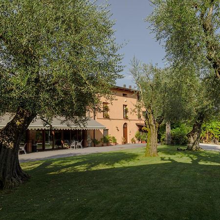 Agriturismo Ripa Del Bosco Capriolo Dış mekan fotoğraf