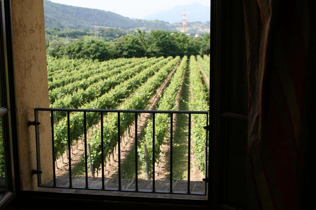 Agriturismo Ripa Del Bosco Capriolo Dış mekan fotoğraf