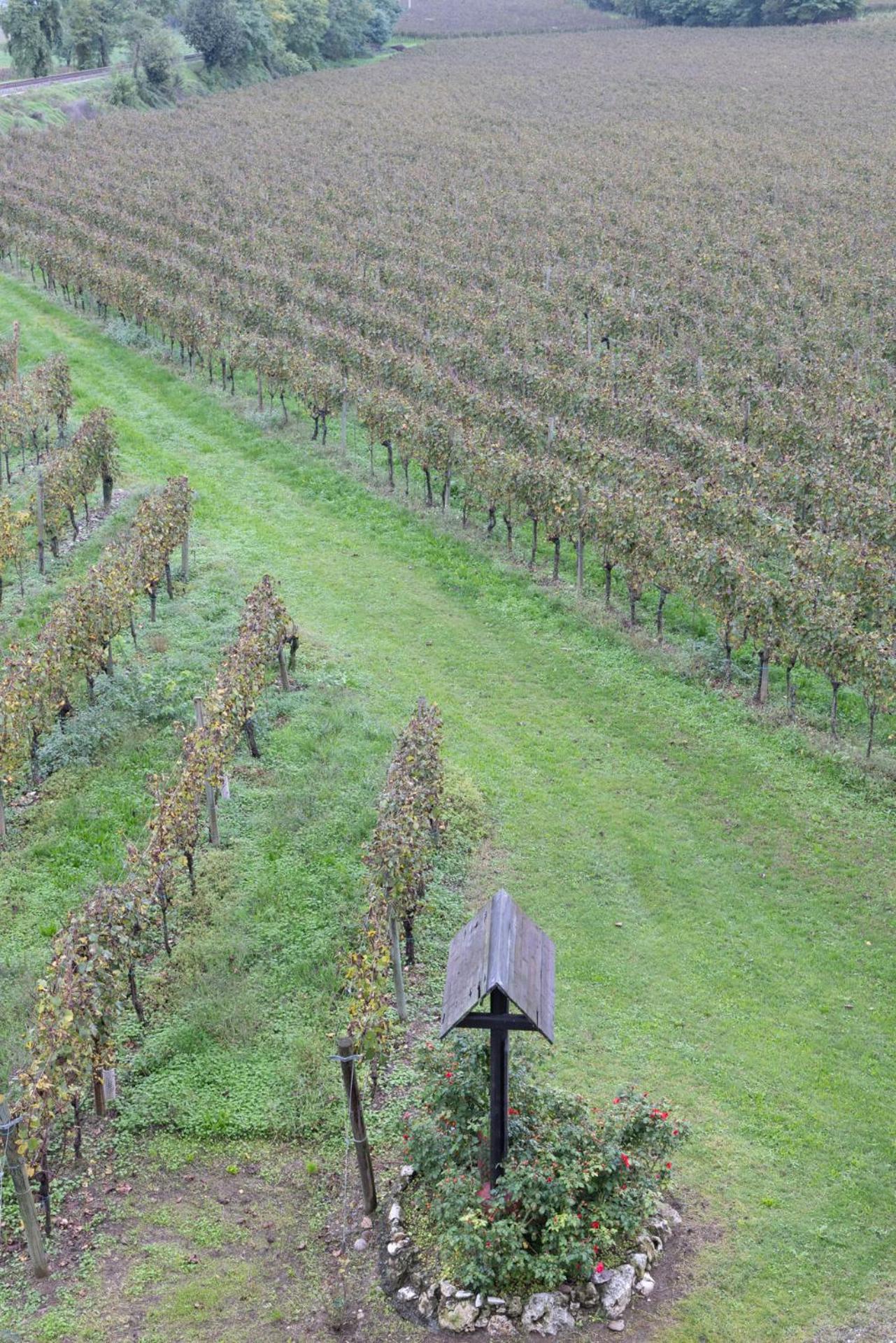 Agriturismo Ripa Del Bosco Capriolo Dış mekan fotoğraf