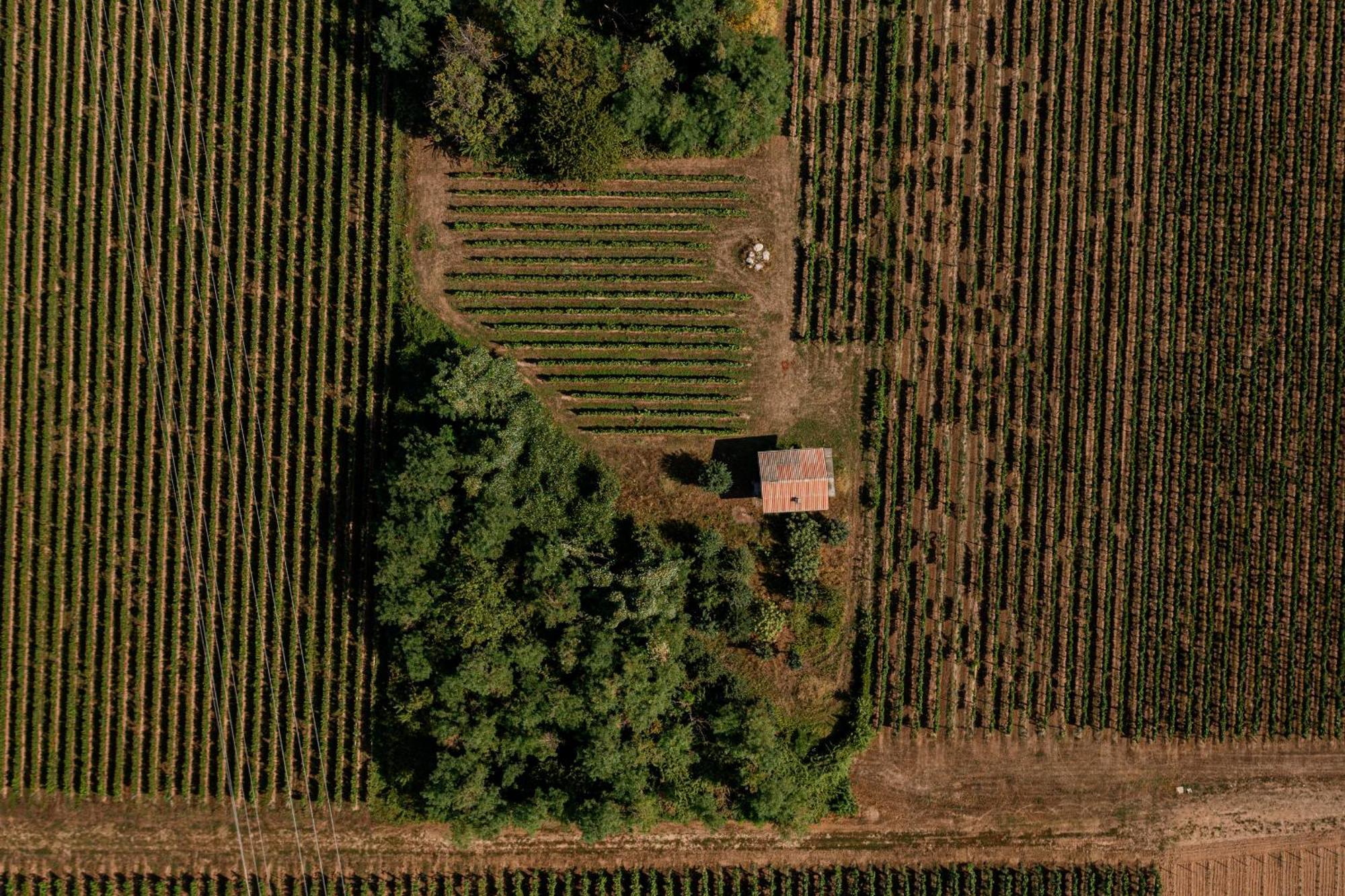 Agriturismo Ripa Del Bosco Capriolo Dış mekan fotoğraf